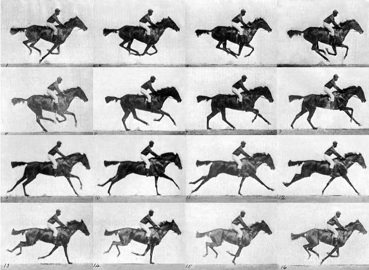 muybridge_race_horse_gallop.jpg