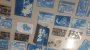 recherche:extension_graphique:atelier_cyano_07.jpg