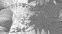 recherche:residence_infra:capture_d_ecran_du_2024-11-11_10-08-30.png