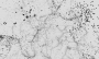 recherche:residence_polygones:phypoly_1.png