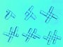 rencontre:camp_interhack_2026:tissage_chambre_a_air_tutoriel.jpg