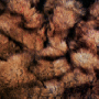 ressource:logiciel:eros_thanatos_kalimotxo_1.gif