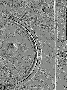 ressource:logiciel:fabrique_de_gif:paternaustere-beton.gif